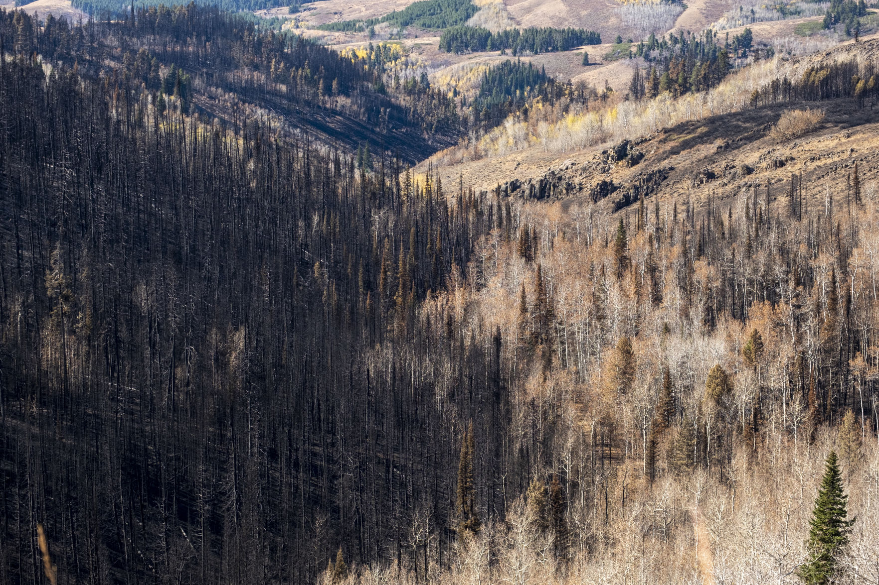 Badger Fire damage south end